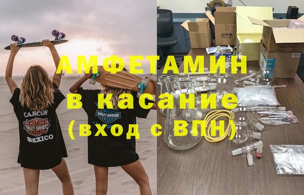 сатива Алексеевка