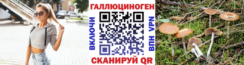 Псилоцибиновые грибы прущие грибы  Сураж 