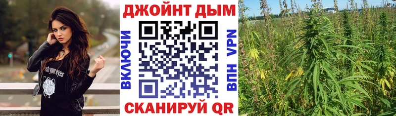 Каннабис семена  Сураж 